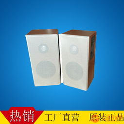 深圳优安宏工厂企业 ip网络音箱 室内